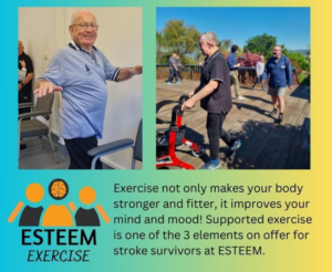 Exercise And Stroke Recovery